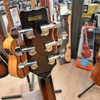 VANTAGE ACOUSTIC 3